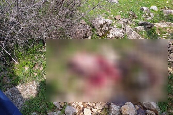 PKK’nın katlettiği köylülerden geriye ceset parçaları kaldı! galerisi resim 5