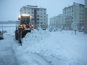 Bitlis Belediyesi'nden karla mücadele çalışması