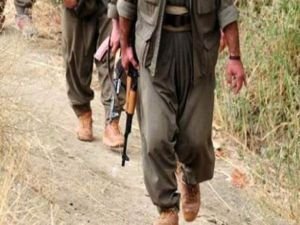 İkna çalışmaları sonucu 1 PKK'lı daha teslim oldu