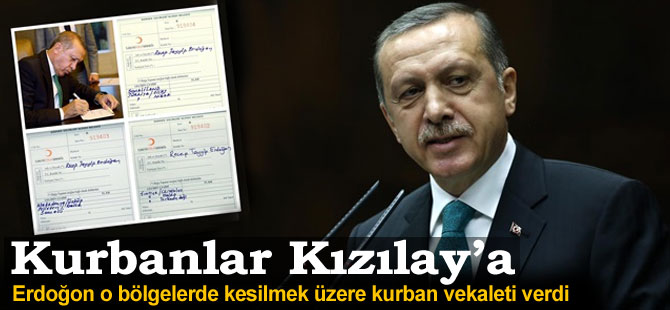 Erdoğan kurban vekaletlerini Kızılay'a verdi