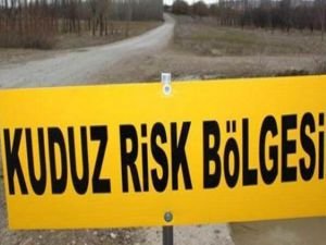 Tunceli'de kuduz alarmı: Köy karantinaya alındı