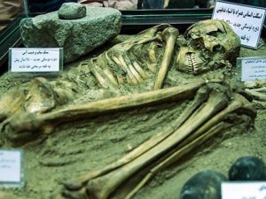7.500 yaşındaki iskelet 'hayatına' İran'daki müzede devam ediyor