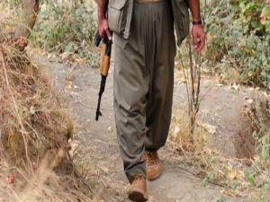 Hakkari'de bir PKK'lı teslim oldu