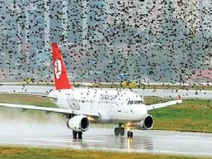 İlk Türk malı kuş radarı