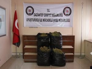 Gaziantep’te üç ayda uyuşturucudan 216 tutuklama