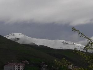 Mayıs ayında Bitlis beyaza büründü