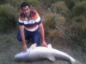Fırat Nehri’nden 43 kiloluk balık avladı
