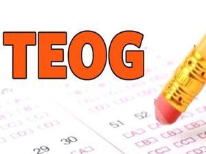 TEOG'un Kaldırılması ve Liselere Giriş Sınavının Akıbeti