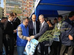 Gaziantep’te 400 bin ücretsiz çam fidanı dağıtıldı