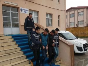 Siirt’te hırsızlıktan 3 kişi tutuklandı