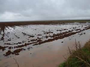 Siverek'te yüzlerce dönüm tarım arazisi sular altında kaldı