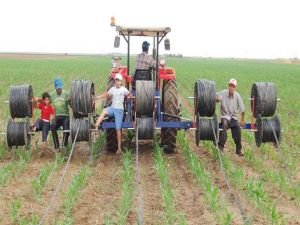 Mardinli çiftçiler ‘Damlama Sulama Sistemi’ne geçiyor