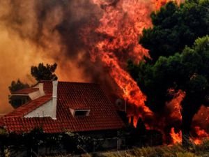 Yunanistan'da orman yangınları: En az 50 ölü