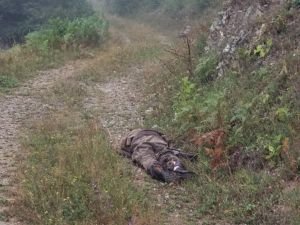 Gümüşhane'de Türk Tarık ve 1 PKK'lı öldürüldü