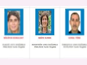 Mavi listedeki PKK’lı öldürüldü