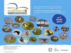 Türkiye’deki Kuş Gözlemciler 21 Farklı Noktada Buluşuyor