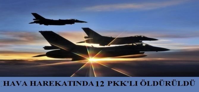 Metina bölgesinde 12 PKK'lı öldürüldü