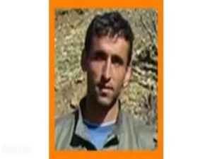 Turuncu kategoride aranan PKK'lı öldürüldü