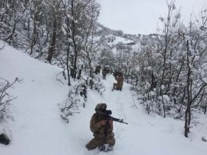 Bitlis'te PKK'ya yönelik geniş çaplı operasyon başlatıldı