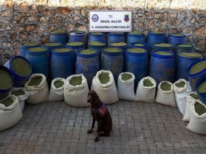 Bingöl'de 2018 de 3 ton 400 kilogram uyuşturucu yakalandı