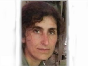 Siirt'te öldürülen 3 PKK'lıdan biri Gri kategoride