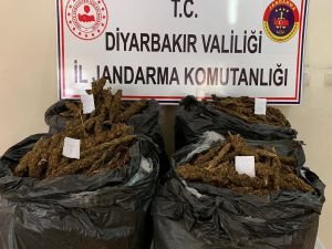 Diyarbakır'da 66 kilo esrar ele geçirildi