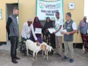 Avrupa Yetim Eli, Kenya'daki yoksul ailelere süt keçisi dağıttı