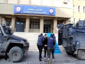 Şırnak'ta PKK ve FETÖ operasyonları: 30 gözaltı