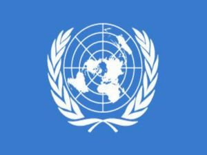 BM'de "Ukrayna" tasarı kabul edildi
