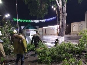 Şiddetli rüzgarlar Özbekistan'da can aldı