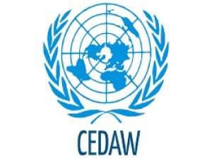 Aileyi ifsat eden CEDAW Sözleşmesi Türkiye’de 35 yıl önce kabul edildi