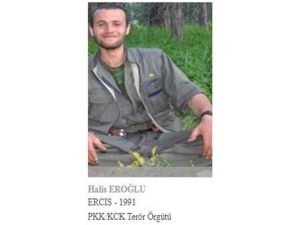 Gri listede aranan PKK'lı öldürüldü