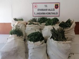 Diyarbakır’da 176 kilogram esrar ele geçirildi