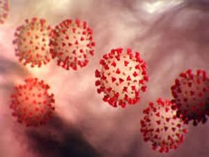 Dünya geneli Coronavirus vaka sayısı 25 milyona yaklaştı