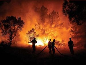 Hatay'daki orman yangını 5'inci gününde devam ediyor