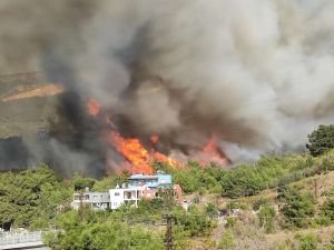 Hatay'daki orman yangını yerleşim yerlerini tehdit ediyor