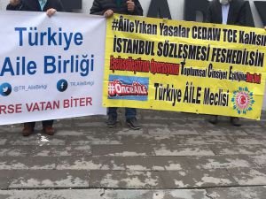 Türkiye Aile Birliği: '6284 başta olmak üzere TCK ve TMK ıslah edilmeli'