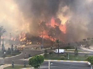 AFAD: Manavgat'taki yangından 30 kişi etkilendi