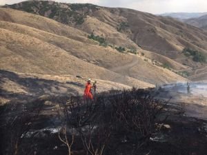 ​Bingöl’de orman yangını çıktı