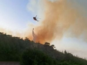 231 orman yangını kontrol altına alındı
