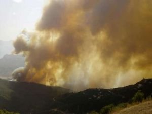 Cezayir'de orman yangınları: 8 ölü