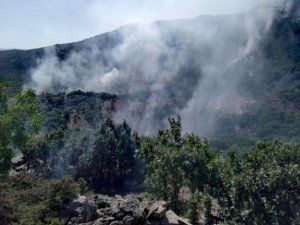 İran'da orman yangını