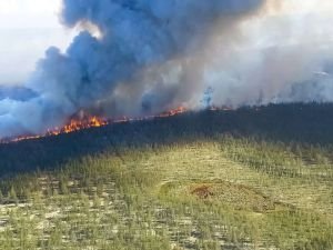 Sibirya'daki yangınlar yerleşim yerlerini tehdit ediyor