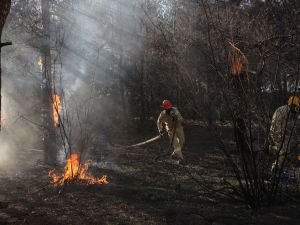 5 ilde çıkan orman yangını kontrol altına alındı