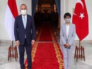 Türkiye ile Endonezya arısında aşı sertifikası ve vize kararı