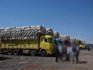 Şanlıurfa'da saman pazarında kavga: 3 yaralı