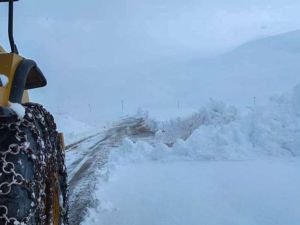Bingöl'de 130 köy yolu kar nedeniyle ulaşıma kapandı