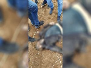 Şanlıurfa'da 2 polisin katil zanlısı ölü ele geçirildi
