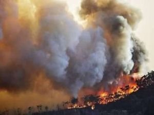 Pakistan'da orman yangını: 4 ölü
