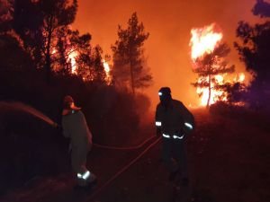 Muğla'daki orman yangınına 576 personel müdahale ediyor